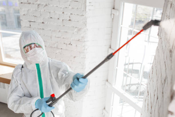 Best Post-Remediation Verification Testing  in Red Lake, MN