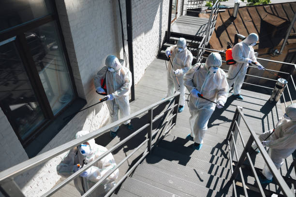 Best Industrial Mold Remediation  in Red Lake, MN