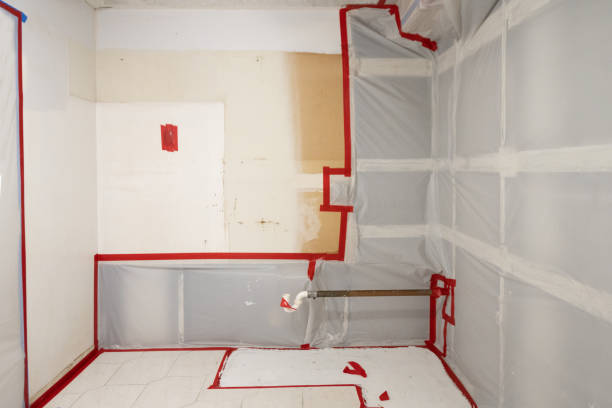 Best Forensic Mold Investigation  in Red Lake, MN
