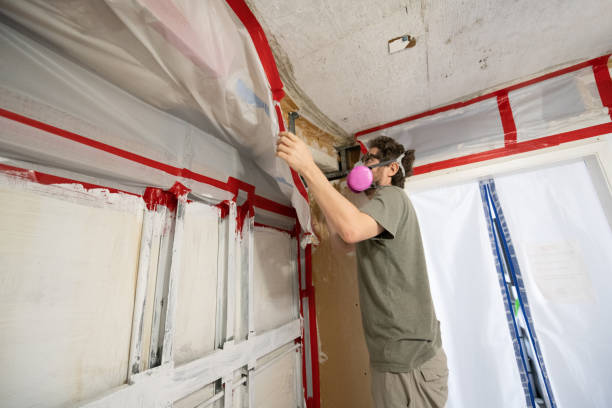 Best Indoor Air Quality Assessment  in Red Lake, MN
