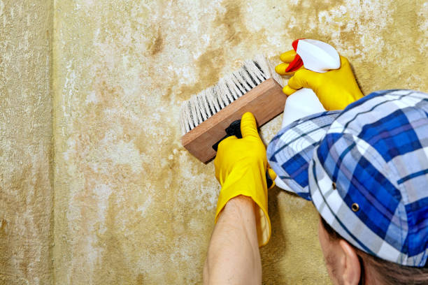 Best Air Quality Testing for Mold Spores  in Red Lake, MN